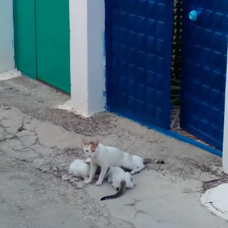 Tatil Evi Luiza Piqeras