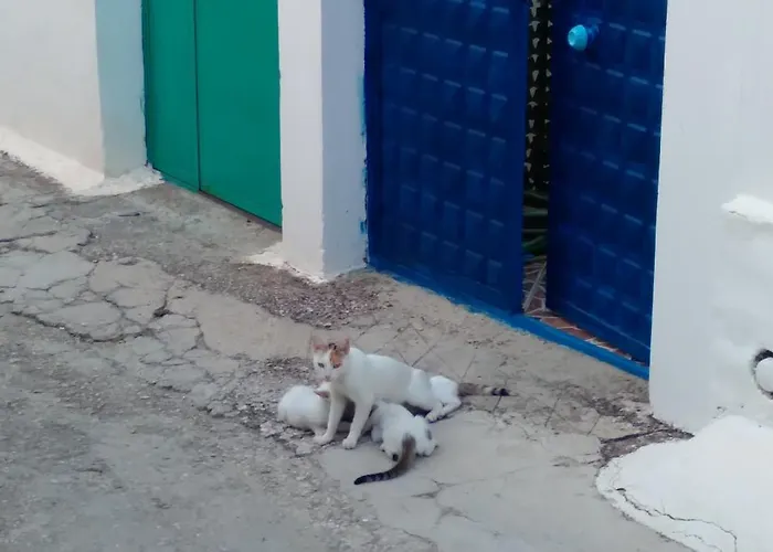 Ferienhaus Luiza Piqeras